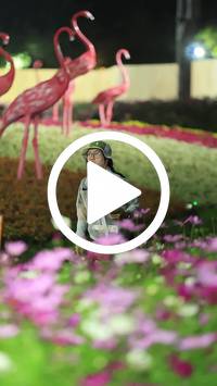 BIB:  <button type="button" onclick="openModal(27589896)" class="btn btn-primary btn-sm float-right" data-toggle="modal" data-target=".modal-high-quality">
                <i class="fa fa-download"></i> Download
                </button>